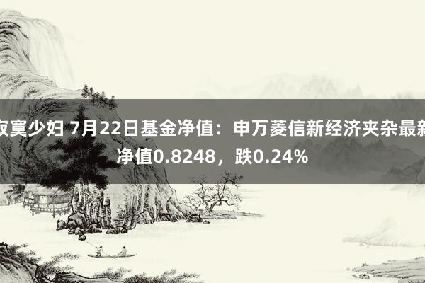 寂寞少妇 7月22日基金净值：申万菱信新经济夹杂最新净值0.8248，跌0.24%