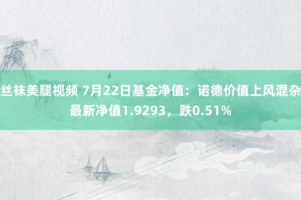 丝袜美腿视频 7月22日基金净值：诺德价值上风混杂最新净值1.9293，跌0.51%