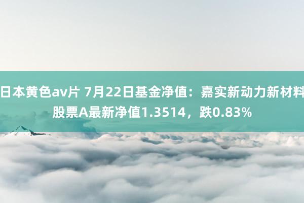 日本黄色av片 7月22日基金净值：嘉实新动力新材料股票A最新净值1.3514，跌0.83%