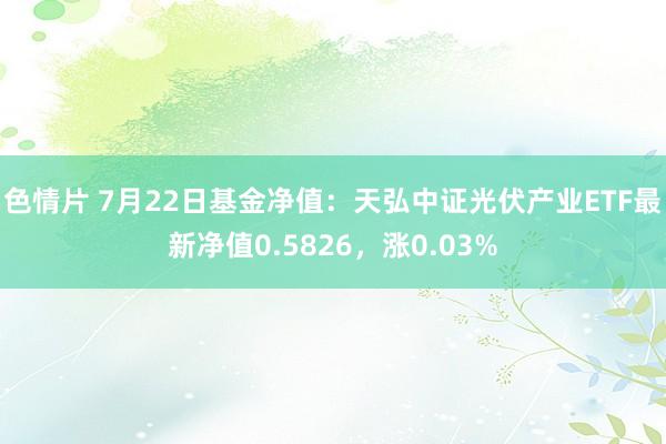 色情片 7月22日基金净值：天弘中证光伏产业ETF最新净值0.5826，涨0.03%