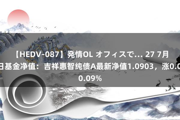 【HEDV-087】発情OL オフィスで… 27 7月22日基金净值：吉祥惠智纯债A最新净值1.0903，涨0.09%