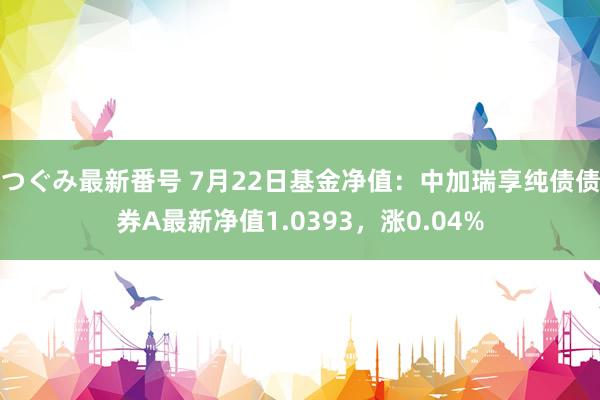 つぐみ最新番号 7月22日基金净值：中加瑞享纯债债券A最新净值1.0393，涨0.04%