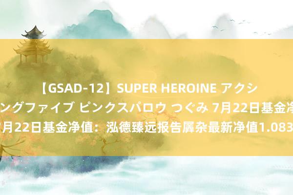 【GSAD-12】SUPER HEROINE アクションウォーズ 超翼戦隊ウィングファイブ ピンクスパロウ つぐみ 7月22日基金净值：泓德臻远报告羼杂最新净值1.083，跌0.42%