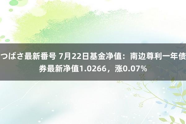 つばさ最新番号 7月22日基金净值：南边尊利一年债券最新净值1.0266，涨0.07%