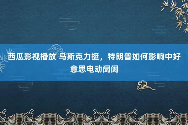 西瓜影视播放 马斯克力挺，特朗普如何影响中好意思电动阛阓