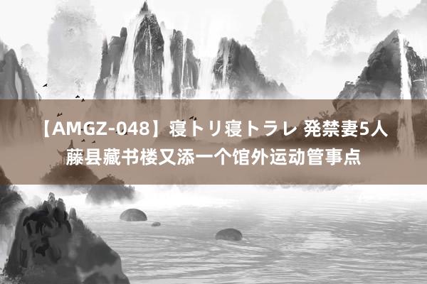 【AMGZ-048】寝トリ寝トラレ 発禁妻5人 藤县藏书楼又添一个馆外运动管事点