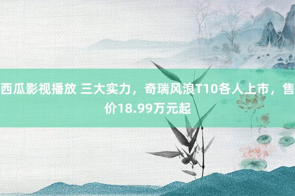 西瓜影视播放 三大实力，奇瑞风浪T10各人上市，售价18.99万元起