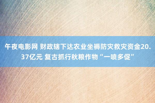 午夜电影网 财政辖下达农业坐褥防灾救灾资金20.37亿元 复古抓行秋粮作物“一喷多促”