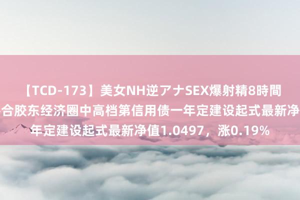 【TCD-173】美女NH逆アナSEX爆射精8時間 8月2日基金净值：嘉合胶东经济圈中高档第信用债一年定建设起式最新净值1.0497，涨0.19%