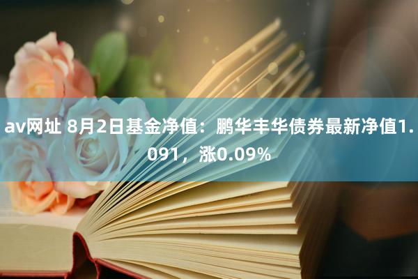 av网址 8月2日基金净值：鹏华丰华债券最新净值1.091，涨0.09%