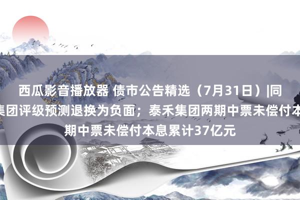 西瓜影音播放器 债市公告精选（7月31日）|同一资信将中泰集团评级预测退换为负面；泰禾集团两期中票未偿付本息累计37亿元