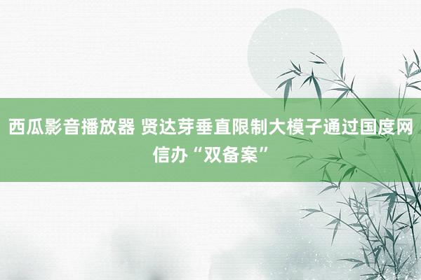 西瓜影音播放器 贤达芽垂直限制大模子通过国度网信办“双备案”