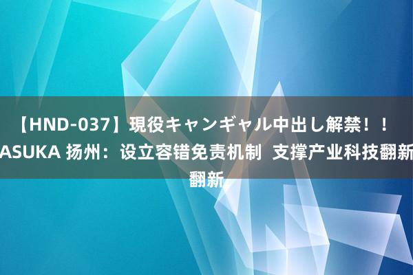 【HND-037】現役キャンギャル中出し解禁！！ ASUKA 扬州：设立容错免责机制  支撑产业科技翻新