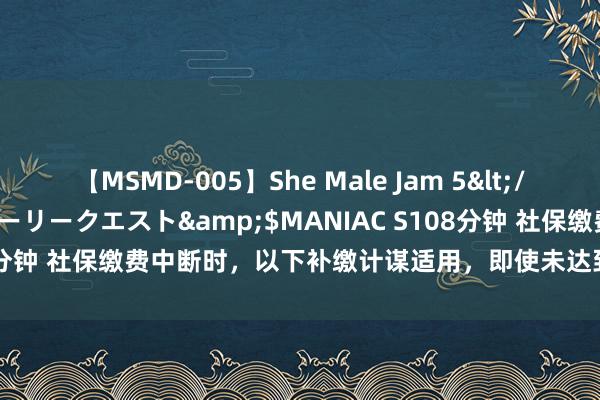 【MSMD-005】She Male Jam 5</a>2008-08-04グローリークエスト&$MANIAC S108分钟 社保缴费中断时，以下补缴计谋适用，即使未达到15年，也可选拔