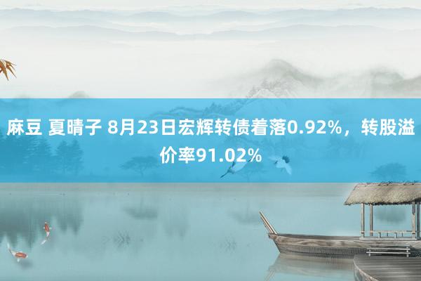 麻豆 夏晴子 8月23日宏辉转债着落0.92%，转股溢价率91.02%