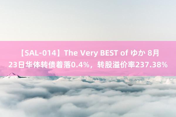 【SAL-014】The Very BEST of ゆか 8月23日华体转债着落0.4%，转股溢价率237.38%