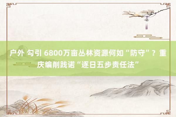 户外 勾引 6800万亩丛林资源何如“防守”？重庆编削践诺“逐日五步责任法”