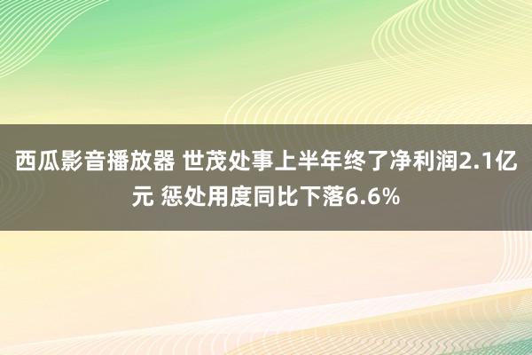 西瓜影音播放器 世茂处事上半年终了净利润2.1亿元 惩处用度同比下落6.6%