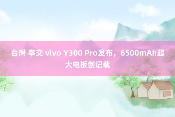 台灣 拳交 vivo Y300 Pro发布，6500mAh超大电板创记载