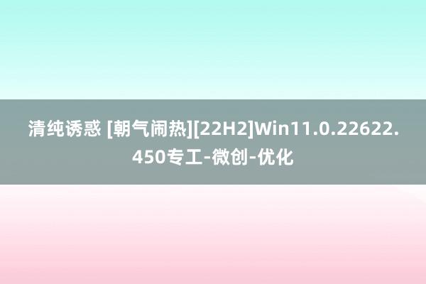 清纯诱惑 [朝气闹热][22H2]Win11.0.22622.450专工-微创-优化