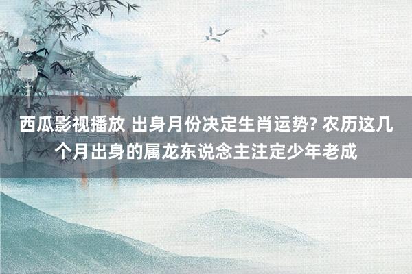西瓜影视播放 出身月份决定生肖运势? 农历这几个月出身的属龙东说念主注定少年老成